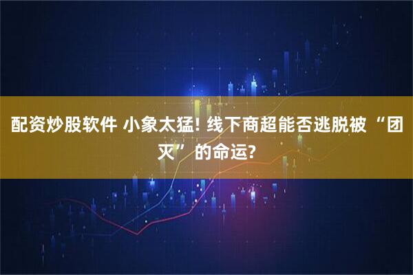 配资炒股软件 小象太猛! 线下商超能否逃脱被 “团灭” 的命运?